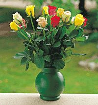 Bouquet 10 Roses 50 cm